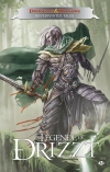 La Légende de Drizzt : Neverwinter Tales