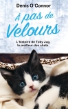 À pas de velours au clair de lune