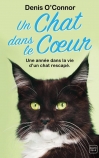 Un chat dans le cœur