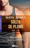 Soleil de plomb
