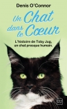 Un chat dans le cœur